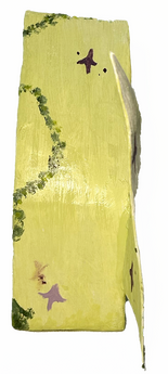 left-side of habitat